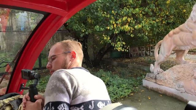 Парк львов Тайган- место любви смотреть онлайн