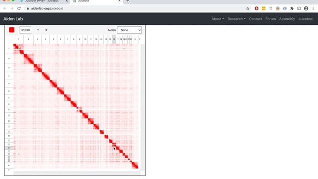 Juicebox on the Web Tutorial Part 1: Loading maps смотреть онлайн