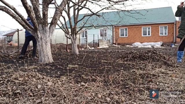 Влог: Обработка винограда/Днок/ смотреть онлайн