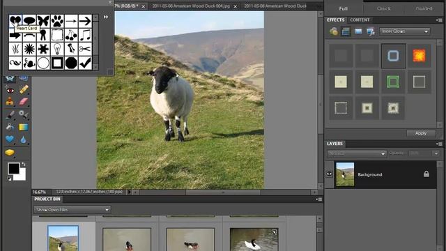 How to Crop Photos Using Photoshop Elements 10 смотреть онлайн