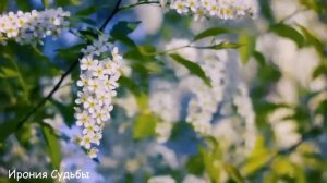 Муж бросил Аню на обочине дороги, бредя в деревню в слезах она и подумать не могла...