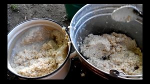 Кормление крупного рогатого скота