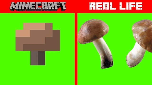 MINECRAFT ENDERMAN IN REAL LIFE! Minecraft vs Real Life animation смотреть онлайн