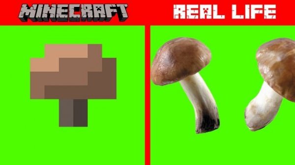 MINECRAFT ENDERMAN IN REAL LIFE! Minecraft vs Real Life animation