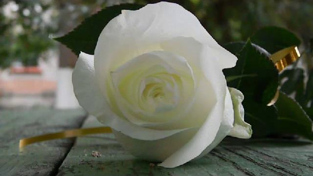 14.08. 2012\\\15.34.10.avi смотреть онлайн