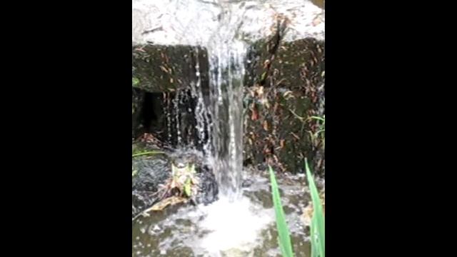 Small waterfall - Canon Ixus 220 HS(Elph 300 HS) sample at 120 FPS смотреть онлайн