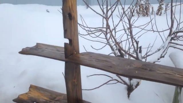 Эксклюзивная полка своими руками смотреть онлайн