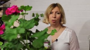 Совет по подготовке грунта для пеларгонии / СОВЕТ ЭКСПЕРТА от Марины Рыкалиной
