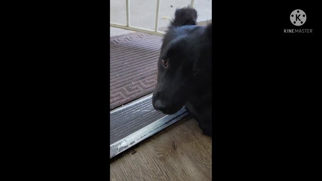 этот человек всегда меня беспокоит 🙄😑 смотреть онлайн