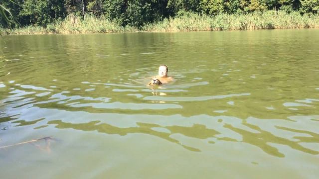 Бигль спасатель. Водоплавающая Чили. \ Lifeguard beagle. Swimming Chili смотреть онлайн