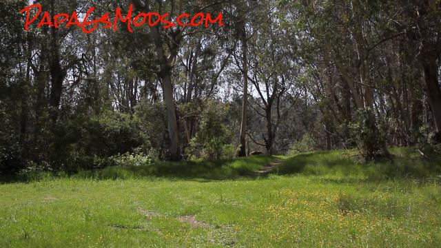 RC Logger Eye One Xtreme - Tilden Park смотреть онлайн