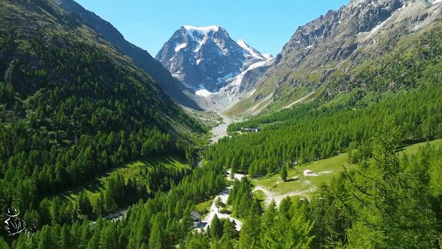 Romantic Relaxing Saxophone Music - Best Saxophone Instrumental Love Songs - Soft Background Music смотреть онлайн