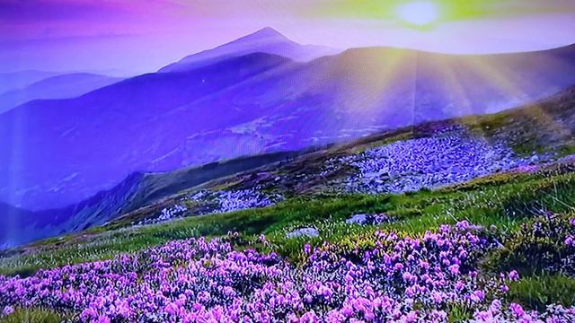 Beautiful piano (Original Composition)92 Marius Bolimowski смотреть онлайн