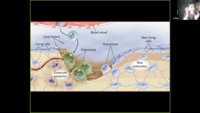 Здоровый позвоночник лекция № 7