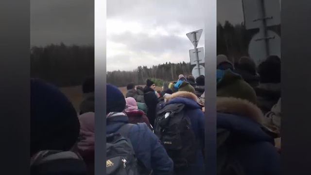 беженцы идут в польшу пешком, беларусия смотреть онлайн