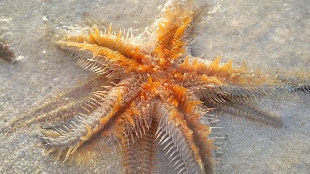 #Хорватия #Croatia море и наше лучшее лето- 2019 год смотреть онлайн
