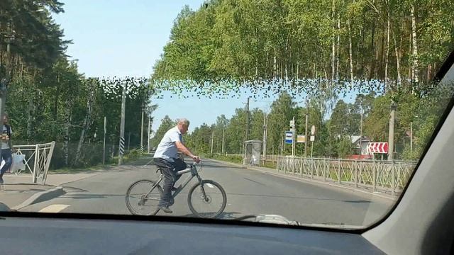 Петербург и окрестности.  Июнь 2023