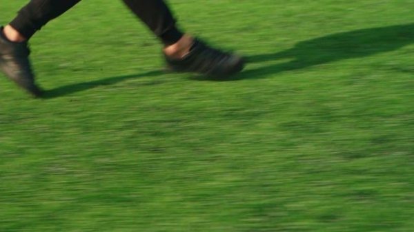 все дороги ведут в ЧелГУ