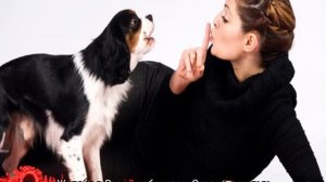 Лает собака у соседей: что делать и куда обращаться