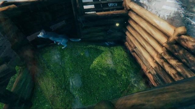 Valheim - Волки - Гайд по приручению смотреть онлайн