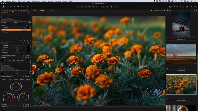 Capture One Pro 11 in 10 minutes смотреть онлайн