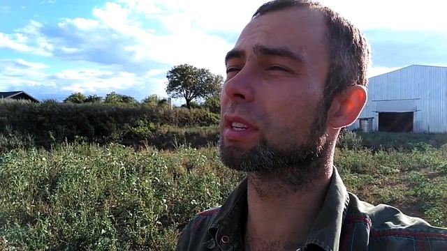 Воздушный змей с камерой - вместо дрона! смотреть онлайн