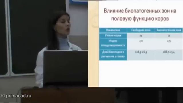 Защита курсовой работы смотреть онлайн