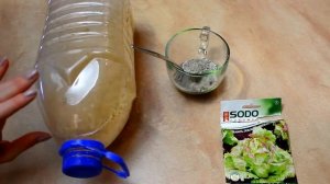 ВЫРАЩИВАНИЕ РАССАДЫ САЛАТА В ПЛАСТИКОВЫХ БУТЫЛКАХ  СУПЕР СПОСОБ  БЕЗ ЗЕМЛИ !