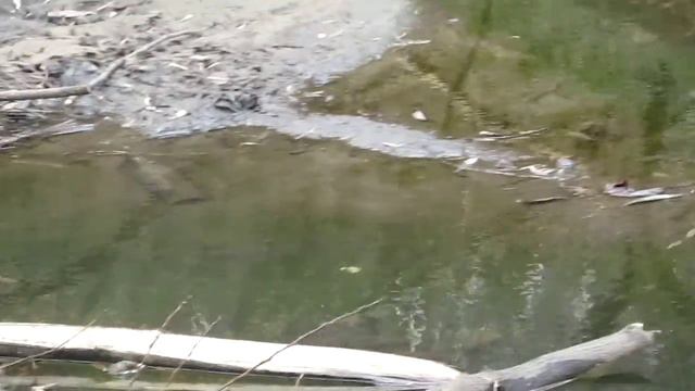 Река Липовка за мостом на Центральный рынок смотреть онлайн