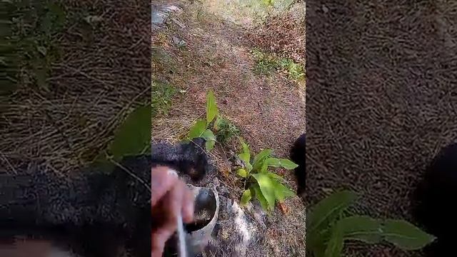 Достать воды из скважины смотреть онлайн