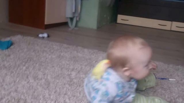 Приколы с попугаем. Наш попугай неразлучник Порорро и сынуля Игнат смотреть онлайн