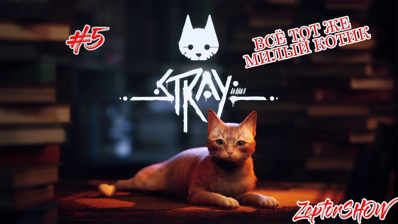 ВСЁ ТОТ ЖЕ МИЛЫЙ КОТИК ◉ STRAY №5