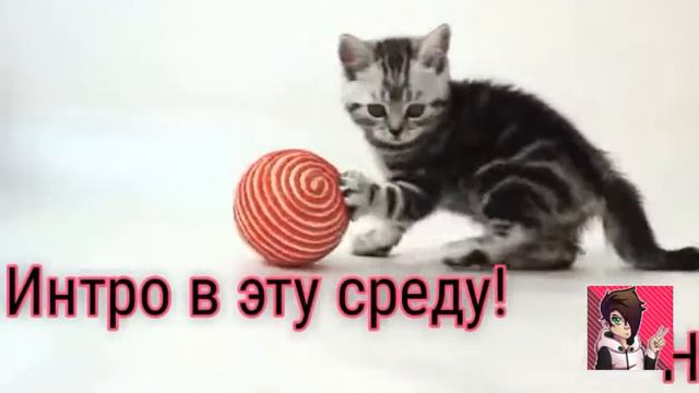 В среду может будет интро!😃 смотреть онлайн