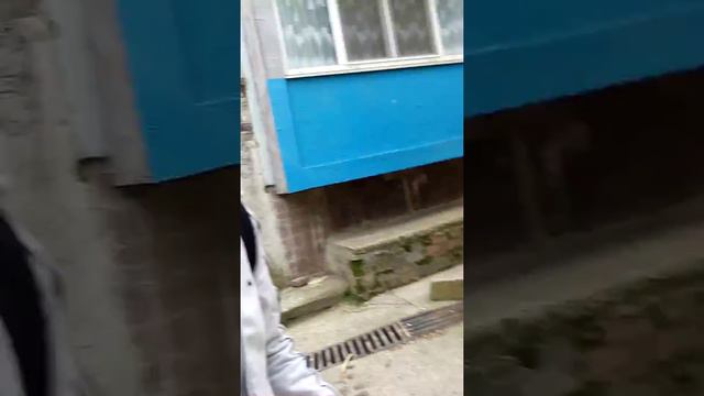Наши приключения после школы ВЕШКИ Попробуй не засмейся .D смотреть онлайн