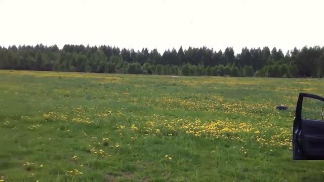 Черноголовка смотреть онлайн