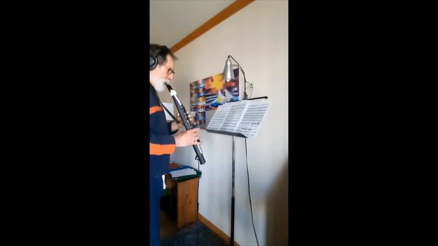 Vivaldi Concerto for recorder/ottavino RV 445 (Yamaha WX-5 Wind Controller) смотреть онлайн
