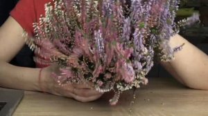 Как сохранить ВЕРЕСК в горшке дома.Особенности ухода