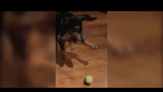 Что такое удача?!) смотреть онлайн