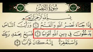 Наср сураси шайх Алижон кори