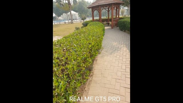 Realme GT5 Pro ZOOM TEST