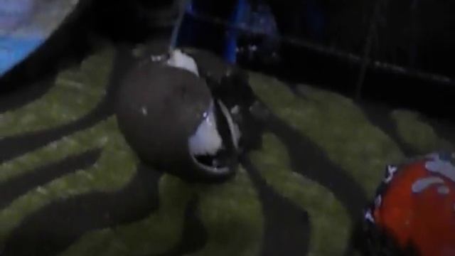 мой 1 КИНДЕР СЮРПРИЗ!СДЕЛАТЬ ЕГО ДОМА? смотреть онлайн