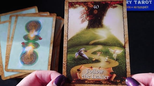 Enchanted Map Oracle Deck Flip-Through смотреть онлайн