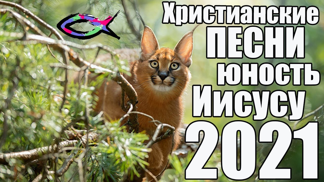 Христианские Старинные Песни | МСЦ ЕХБ