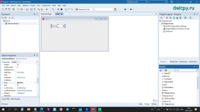 DateTimePicker (Time) Delphi. Embarcadero. смотреть онлайн