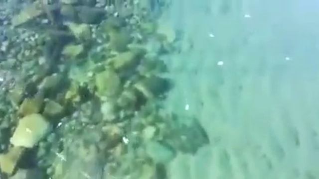 Прозрачный лед