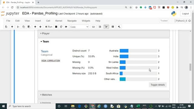 EDA Pandas Profiling смотреть онлайн