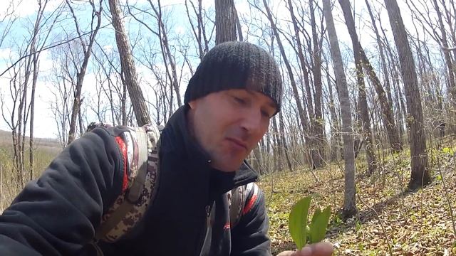 Рыбалка отменяется. Поход на САРКОФАГ. Собираю черемшу КОЛБУ. смотреть онлайн