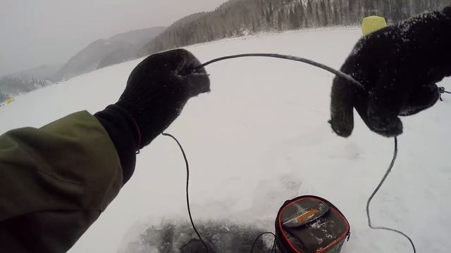 Ловля в Подводном Мире