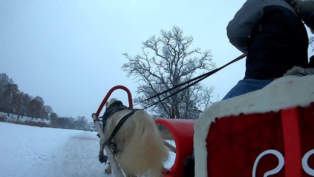 Суздаль2021 смотреть онлайн