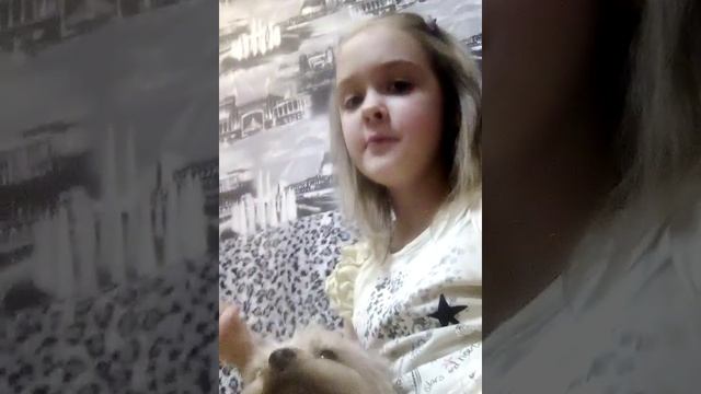 5 способов уговорить родителей купить животного смотреть онлайн